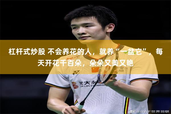 杠杆式炒股 不会养花的人，就养“一盆它”，每天开花千百朵，朵朵又美又艳