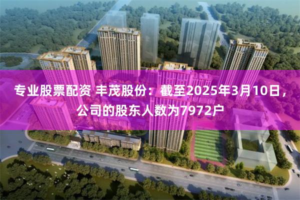 专业股票配资 丰茂股份：截至2025年3月10日，公司的股东人数为7972户