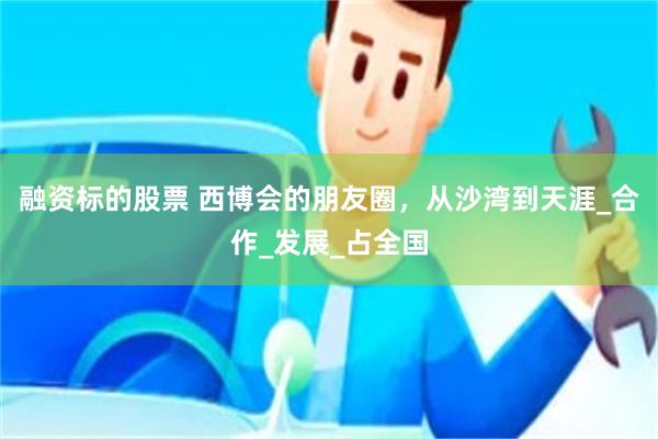 融资标的股票 西博会的朋友圈，从沙湾到天涯_合作_发展_占全国