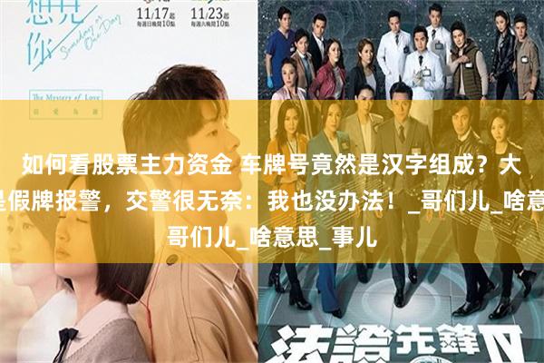 如何看股票主力资金 车牌号竟然是汉字组成？大爷怀疑是假牌报警，交警很无奈：我也没办法！_哥们儿_啥意思_事儿