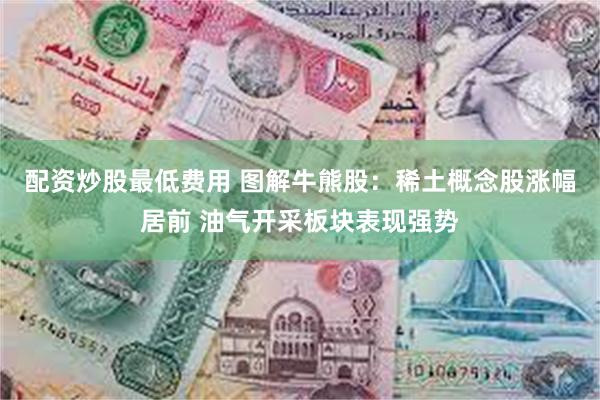 配资炒股最低费用 图解牛熊股：稀土概念股涨幅居前 油气开采板块表现强势