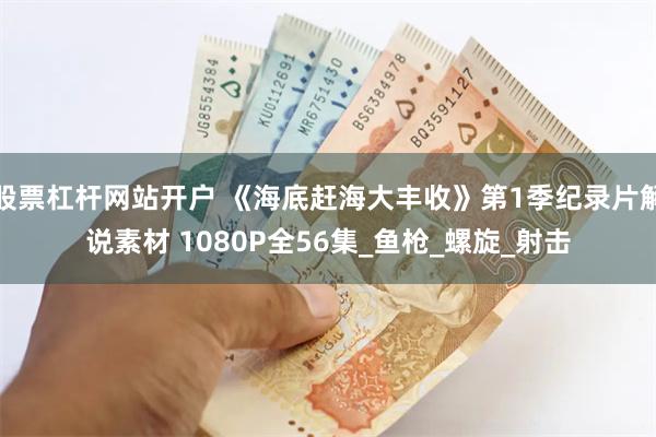 股票杠杆网站开户 《海底赶海大丰收》第1季纪录片解说素材 1080P全56集_鱼枪_螺旋_射击