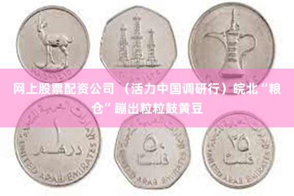 网上股票配资公司 （活力中国调研行）皖北“粮仓”蹦出粒粒鼓黄豆