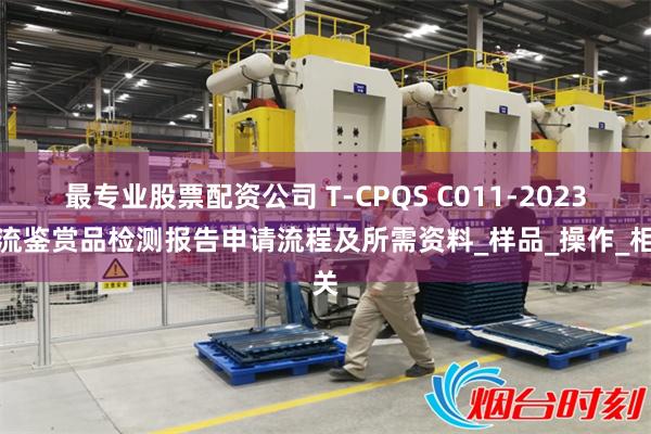 最专业股票配资公司 T-CPQS C011-2023潮流鉴赏品检测报告申请流程及所需资料_样品_操作_相关