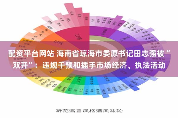配资平台网站 海南省琼海市委原书记田志强被“双开”：违规干预和插手市场经济、执法活动