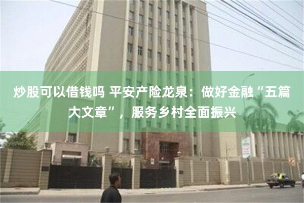 炒股可以借钱吗 平安产险龙泉：做好金融“五篇大文章”，服务乡村全面振兴