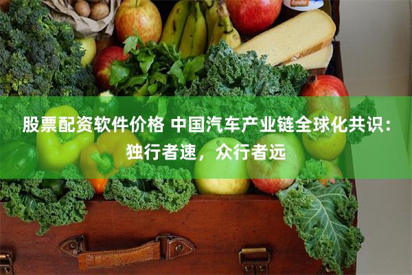 股票配资软件价格 中国汽车产业链全球化共识：独行者速，众行者远