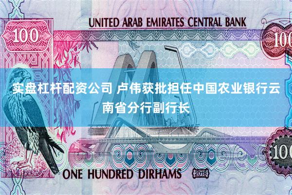 实盘杠杆配资公司 卢伟获批担任中国农业银行云南省分行副行长