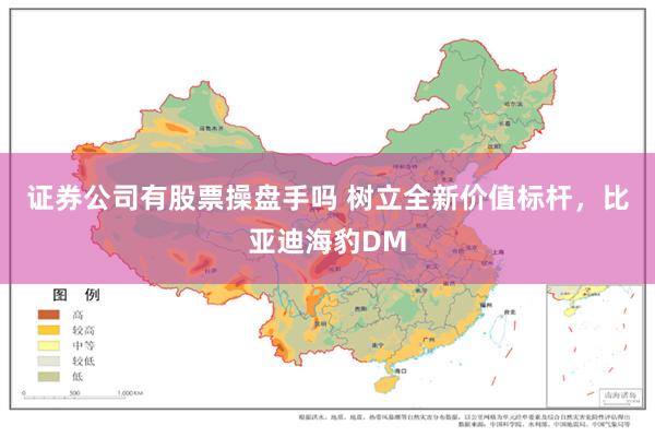 证券公司有股票操盘手吗 树立全新价值标杆，比亚迪海豹DM