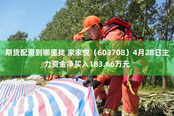 期货配资到哪里找 家家悦（603708）4月28日主力资金净买入183.66万元
