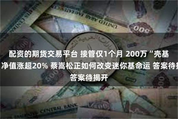 配资的期货交易平台 接管仅1个月 200万“壳基金”净值涨超20% 蔡嵩松正如何改变迷你基命运 答案待揭开